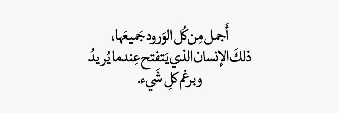 ana_3bdoo's profile banner image