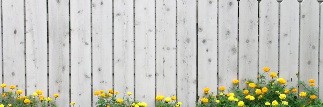 suburbiaU's profile banner image