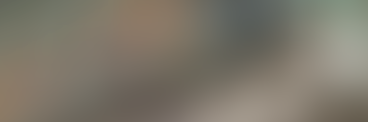 FBIHabbo's profile banner image