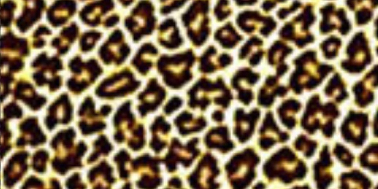 amandaquintusx's profile banner image