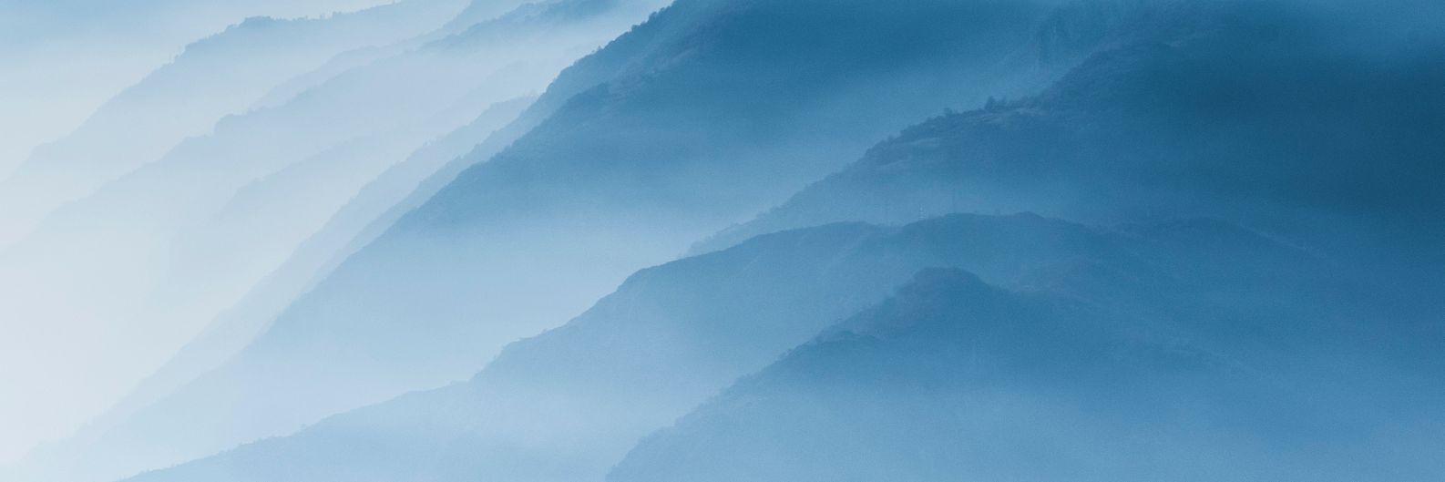 trograin's profile banner image