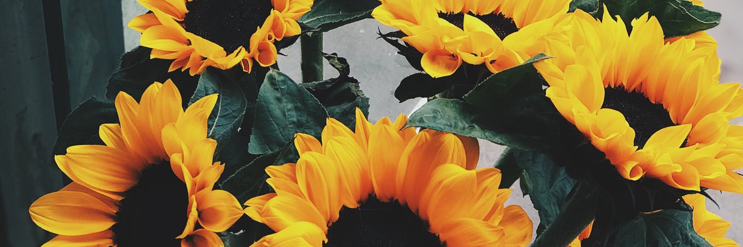 ขนม ᰔᩚ banner