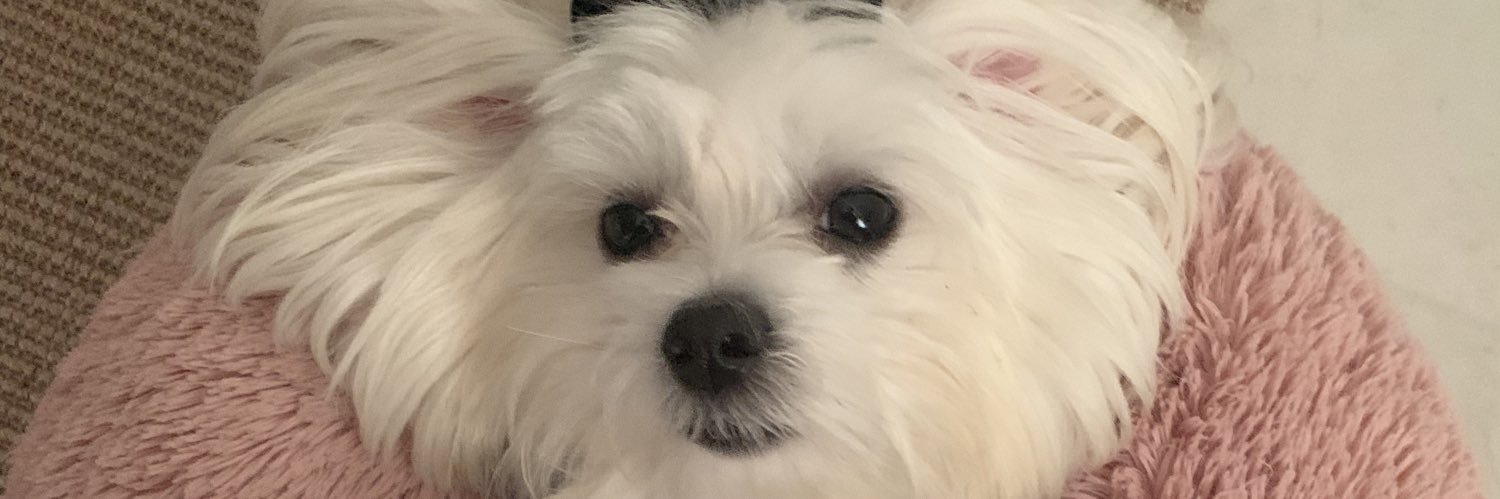jpdebrot's profile banner image