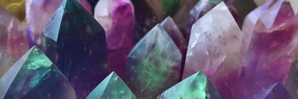 fedinalesia's profile banner image