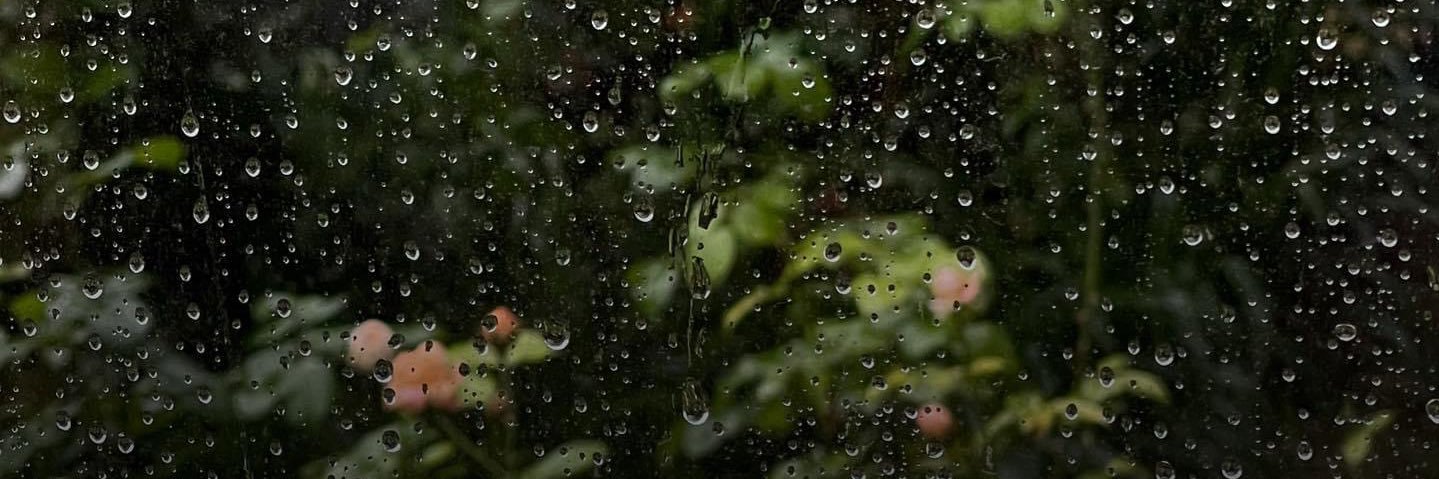 itstnnn's profile banner image