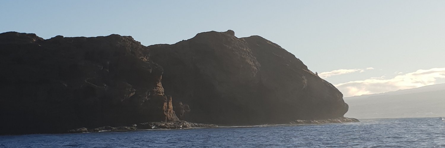 rvnorton's profile banner image