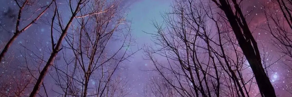 LMT147's profile banner image