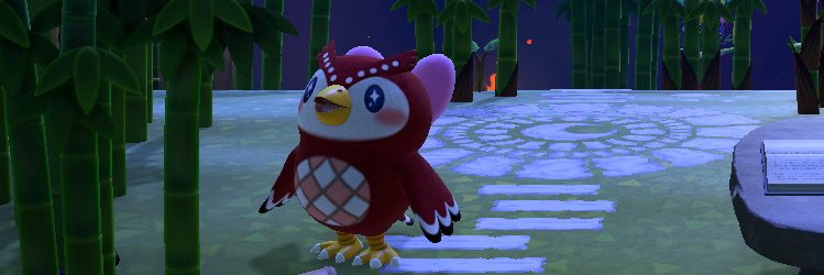 bramble_patch's profile banner image