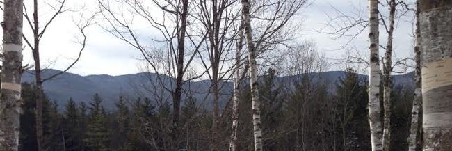 NahanniRous's profile banner image