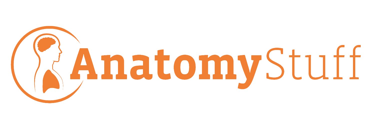 AnatomyStuff banner