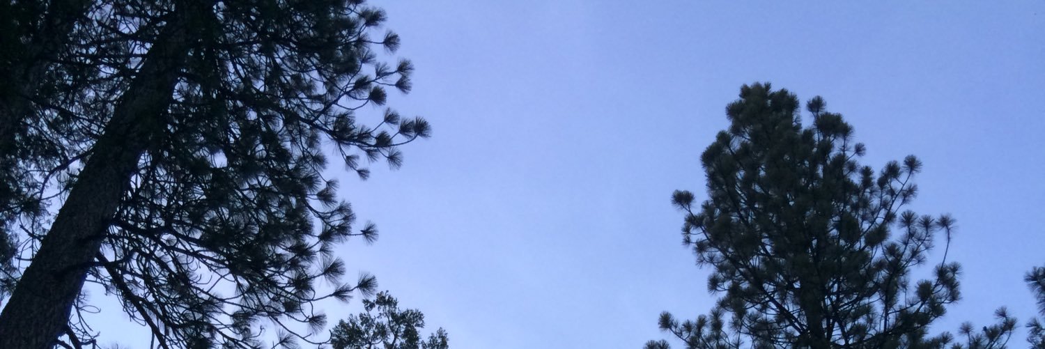 Troutforme1's profile banner image