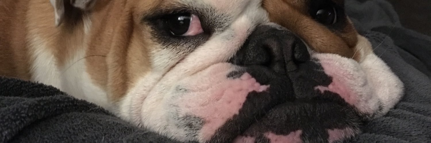 Amygulley3's profile banner image