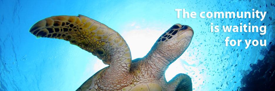 ScubaCrowd's profile banner image