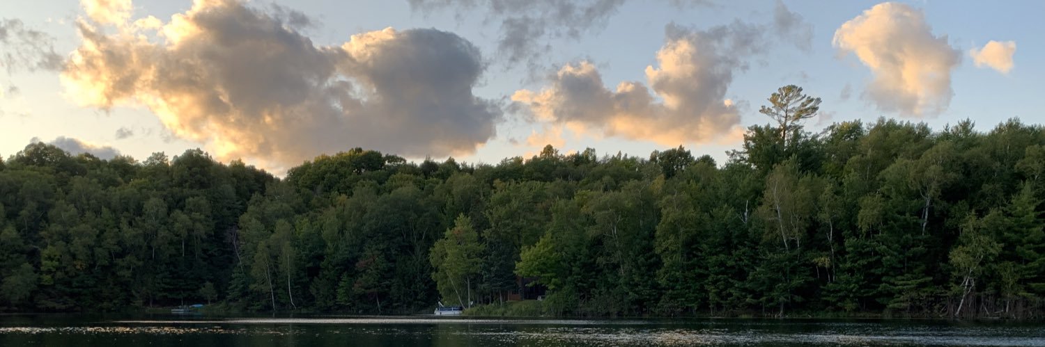 RyanZea's profile banner image