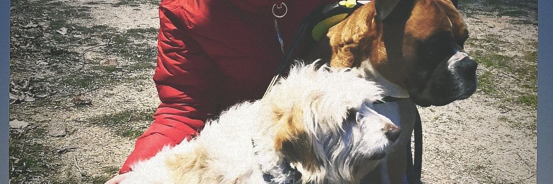 NoeliaFraile2's profile banner image