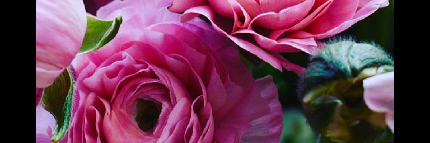 Althea Helms banner