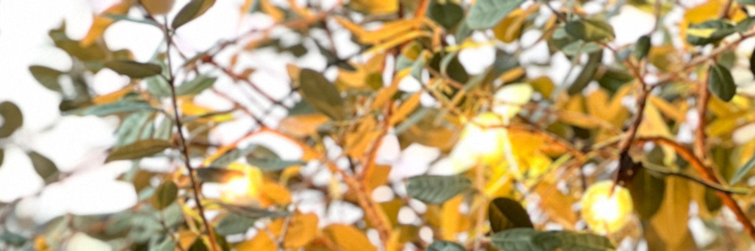 BesterGG's profile banner image