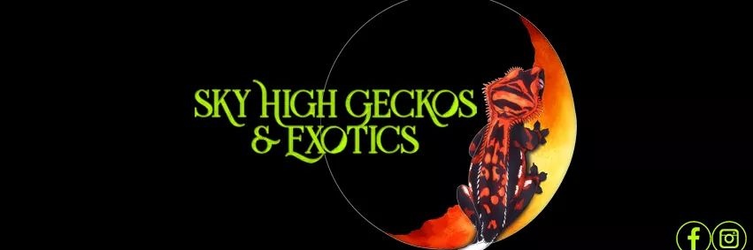SkyHighGeckos's profile banner image