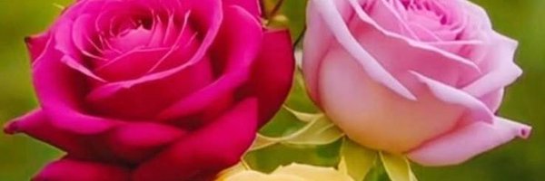 k5235m Profile Banner