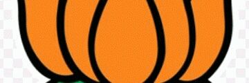 RamChandraThak9's profile banner image
