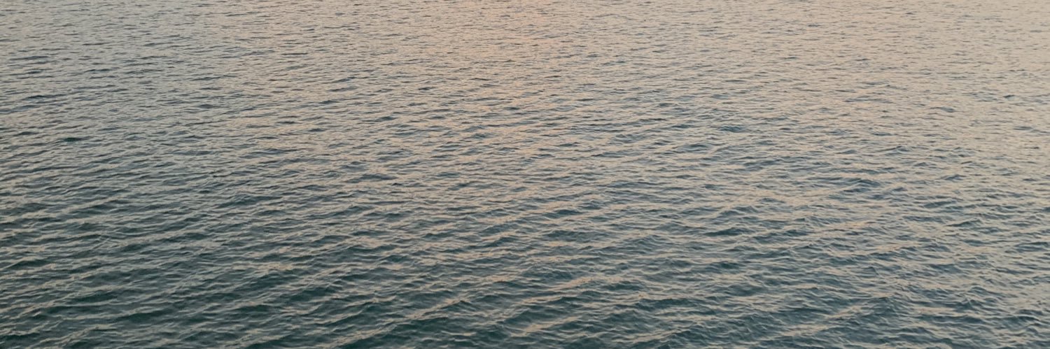 boneemm's profile banner image