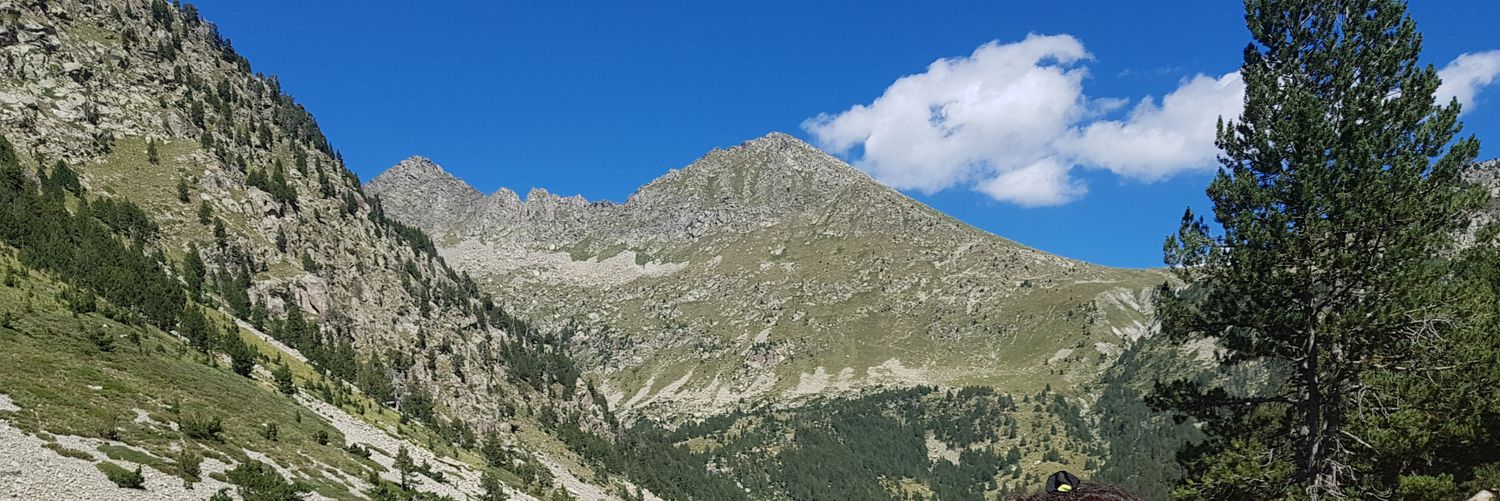 LupeRenauGil's profile banner image