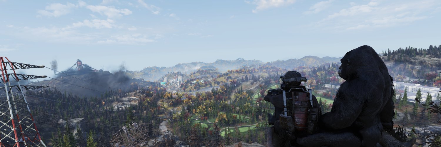 BasedVulpine's profile banner image