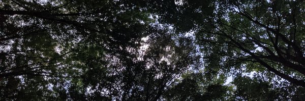 rosebroderick_ Profile Banner