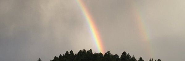 Desiree_att Profile Banner