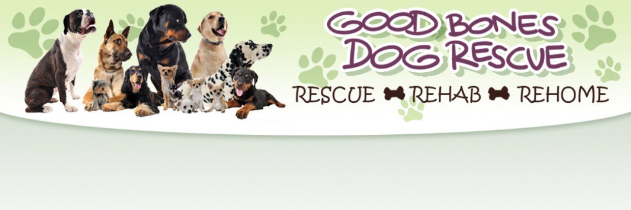 GoodBonesDogs's profile banner image