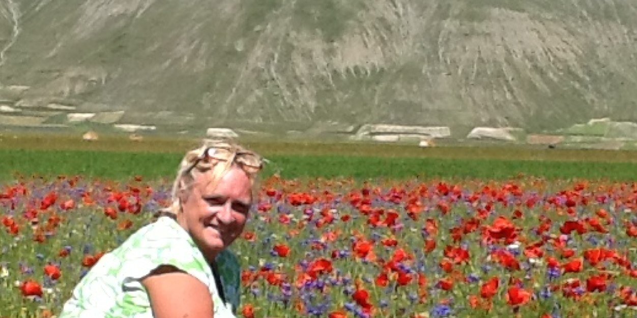 Judith Sterlini banner