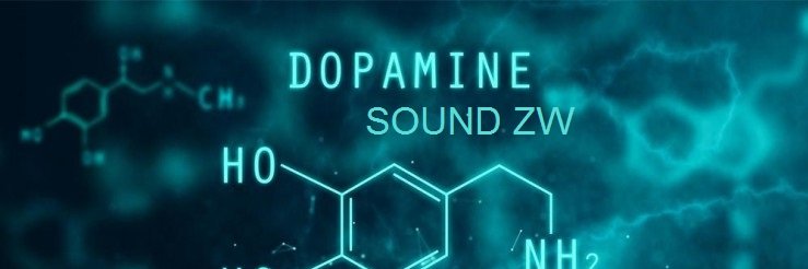 DOPAMINE SOUND ZW banner