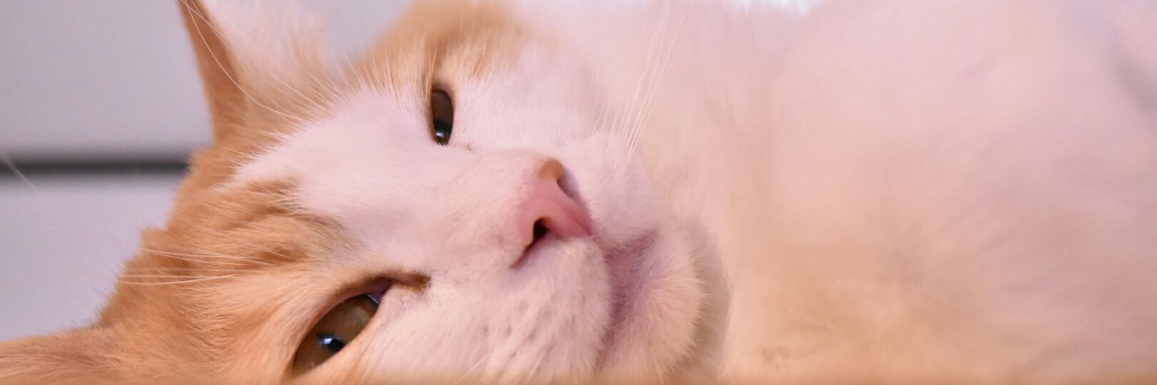 otyabinn's profile banner image