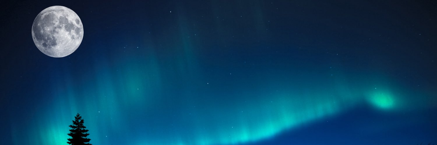 maxwell_d85's profile banner image