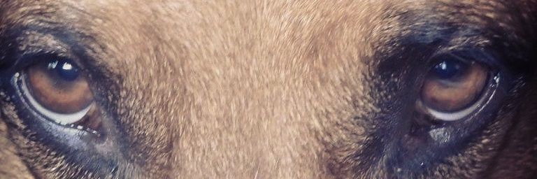 mssanchez35's profile banner image
