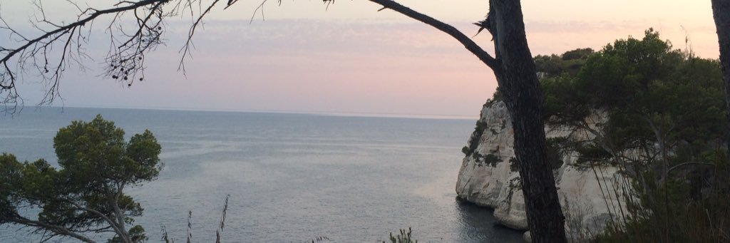 Ricdelp's profile banner image