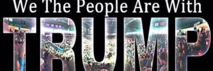SteveHutt2's profile banner image
