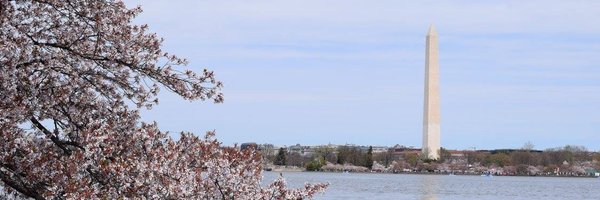 bridgetbhc Profile Banner