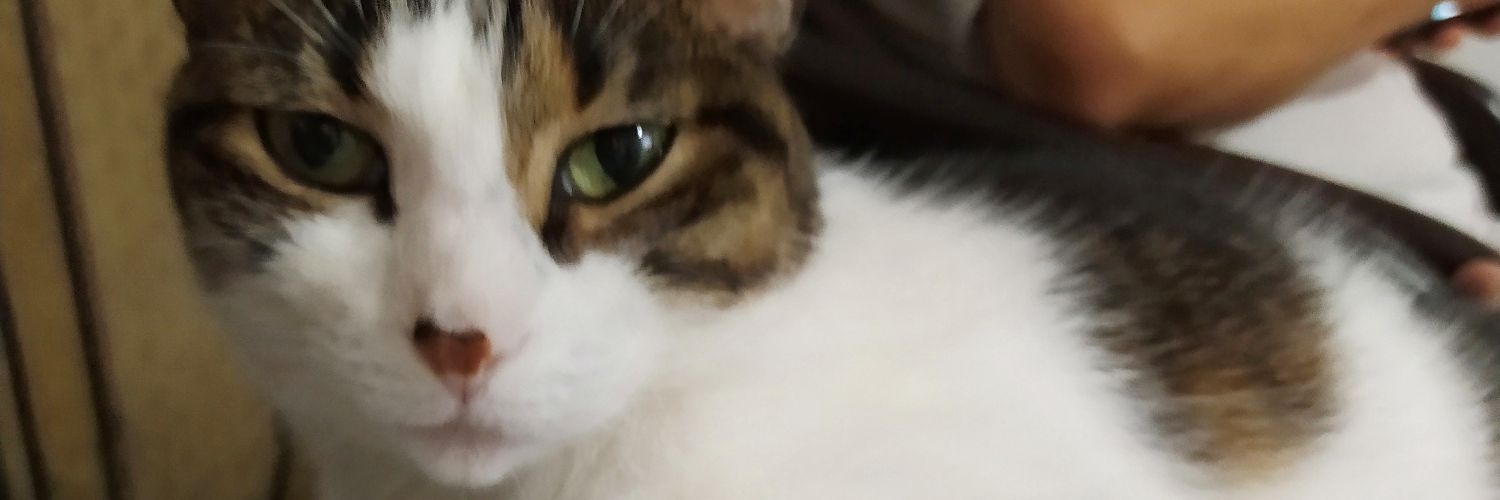 khiky79's profile banner image