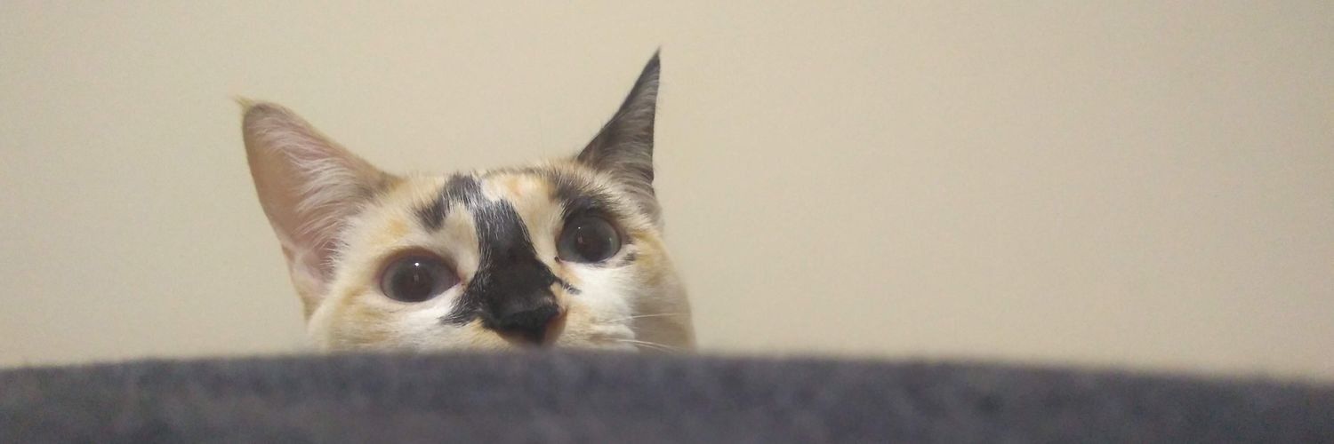 owburuno's profile banner image