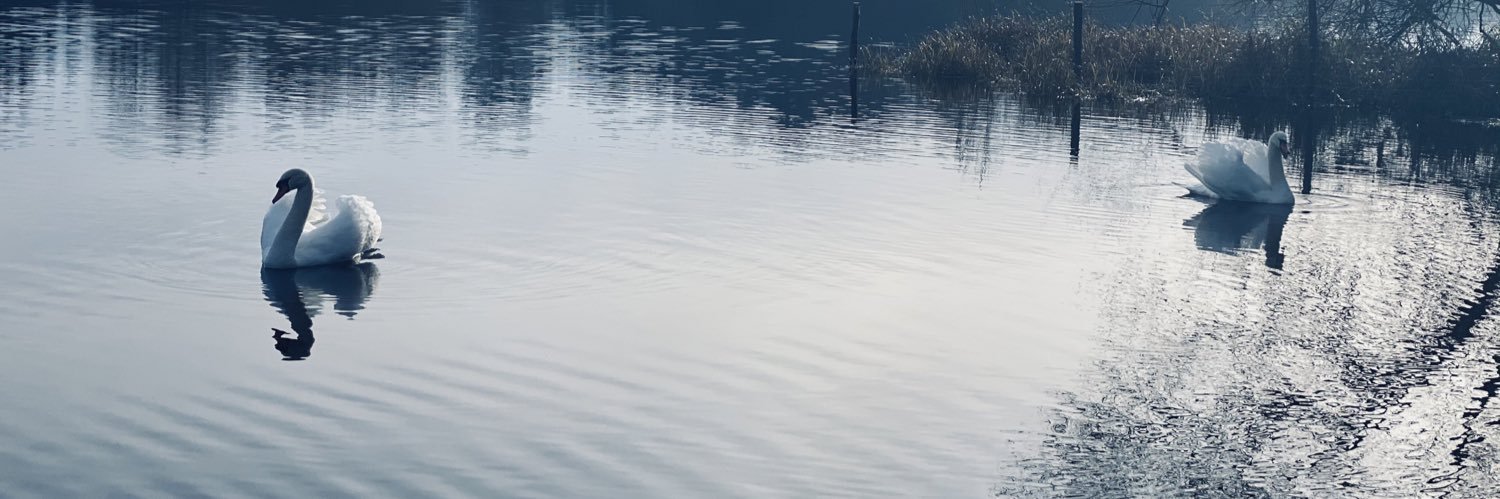 moycepk's profile banner image