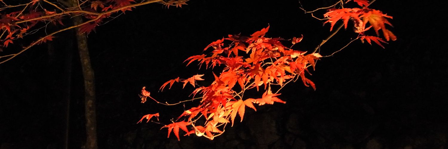 いろはす banner