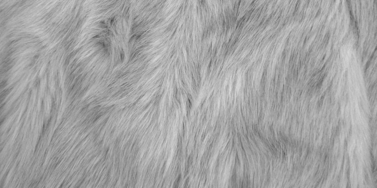 pbandjas's profile banner image