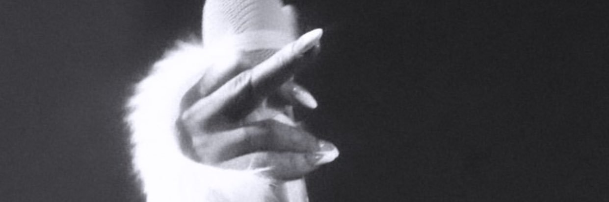 milagrosbascal's profile banner image