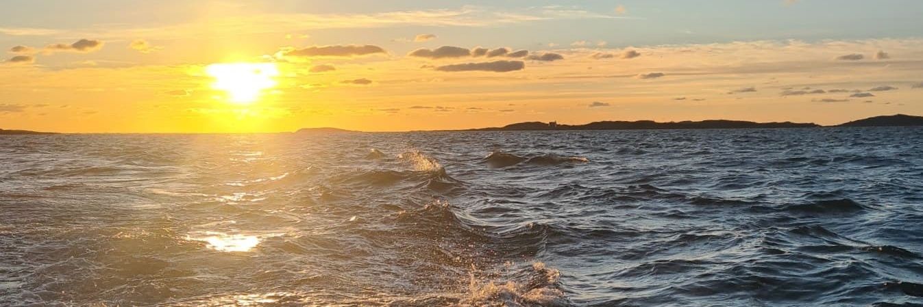 Fishdesign_SE's profile banner image