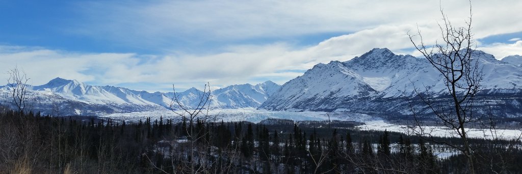 wigjack's profile banner image