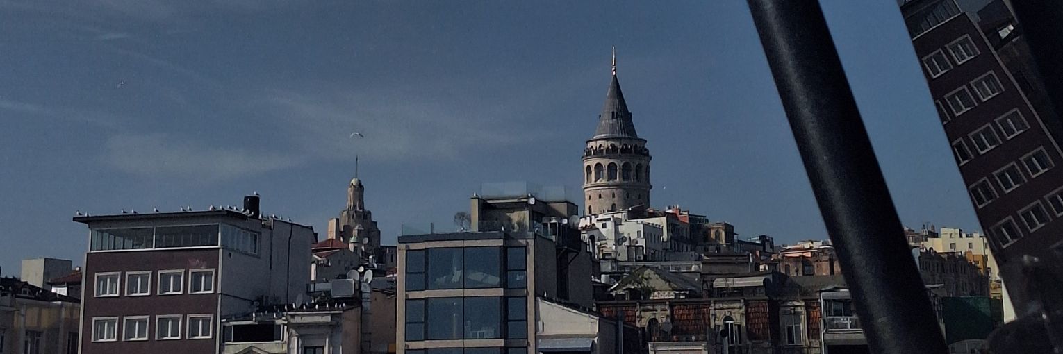 Buse İlkin Yerli banner
