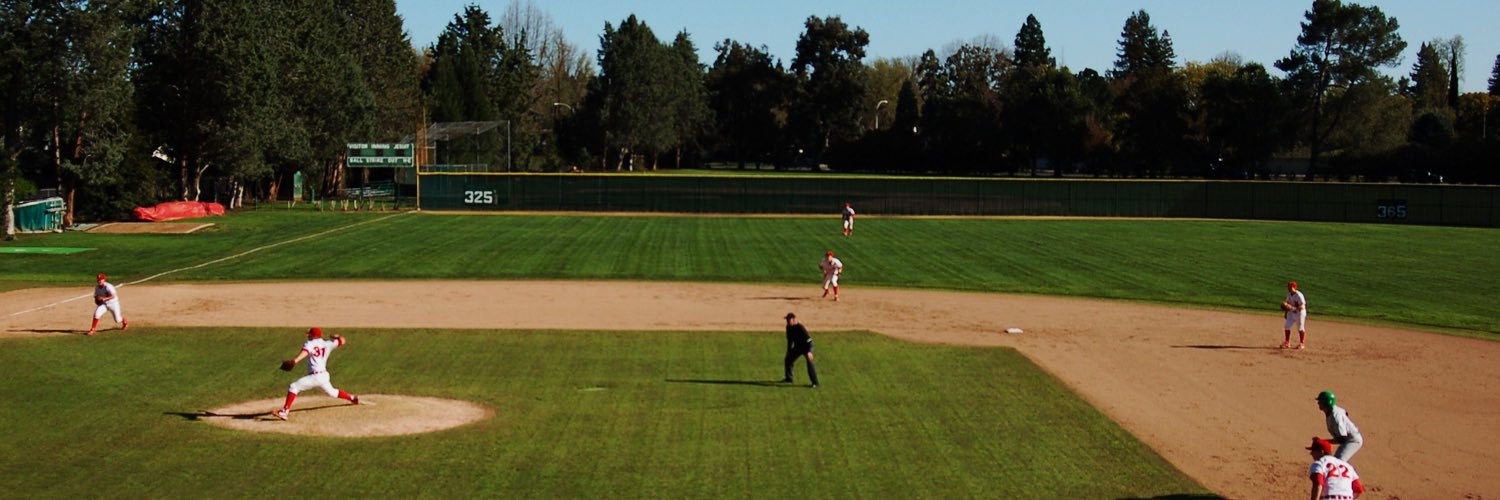 D1 Basedball banner