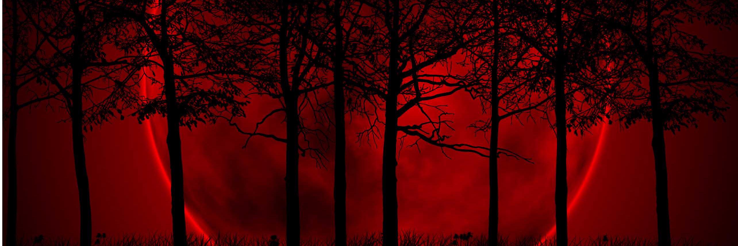 FavoredByLuck's profile banner image