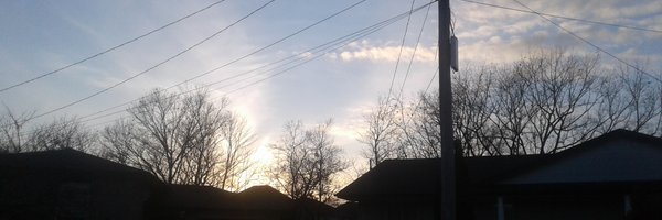 Bridgipedia Profile Banner